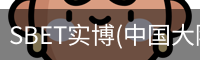 SBET实博